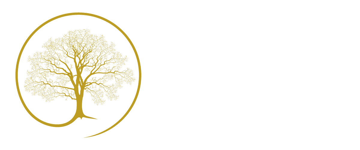 Magnus grove (2)